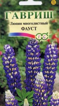 ����� ������������ �����