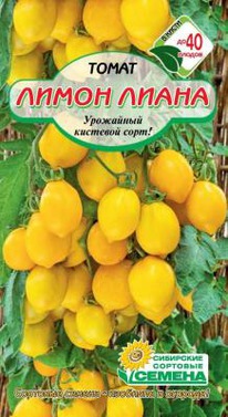 ����� ����� �����