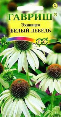 �������� ����� ������