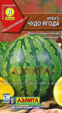 ���� ����� �����