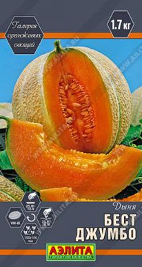 ���� ������ ����