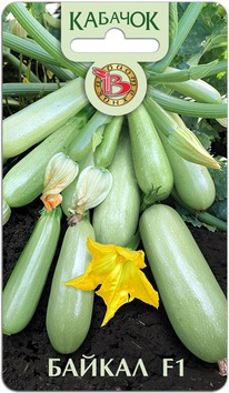 ������� ������ F1