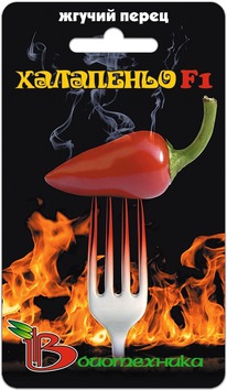 ����� ������ ���������