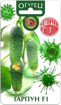 ������ ������ F1