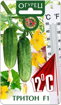 ������ ������ F1