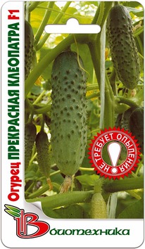 ������ ���������� ��������� F1