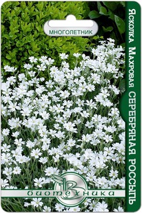 ������� �������� ���������� �������