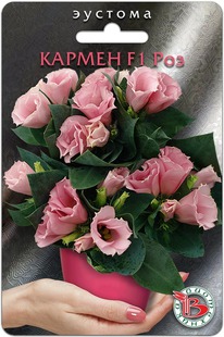 ������� ��������� ������ F1 ���