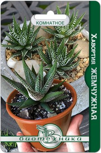 �������� ���������