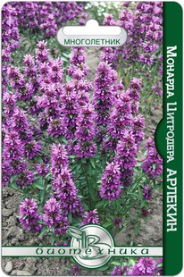 ������� ��������� �������