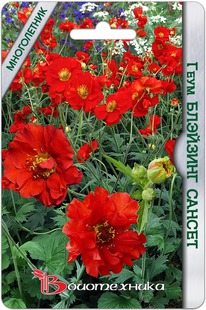 ���� �������� �������� ������