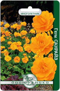 ���� �������� �������