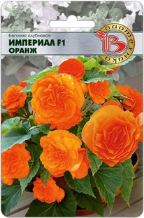 ������� ��������� �������� F1 �����