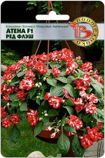 ��������� ������� �������� ��������� ����� F1 ��� ����