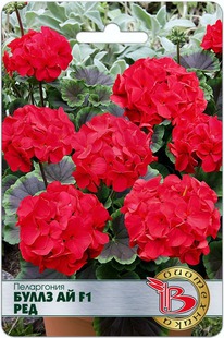 ���������� ����� �� F1 ���