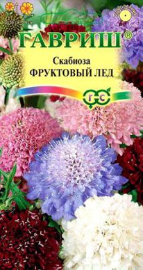 �������� ��������� ���, ����� ��������