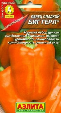 ��� ���� ������� �����