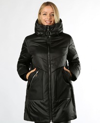 ������ RLR dm00165