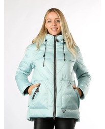 ������ RLR dm00170