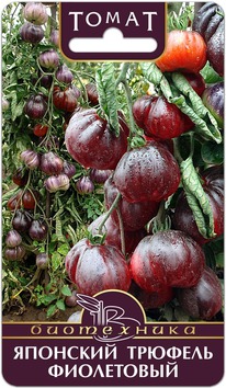 ����� �������� ������� ����������