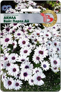 ������������ ����� ���� ����� ��