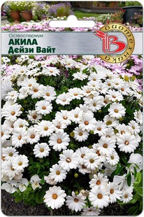 ������������ ����� ����� ����