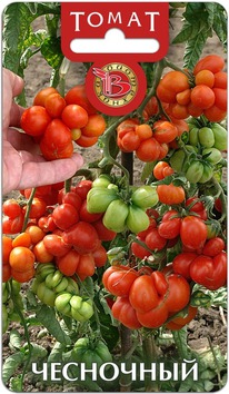 ����� ���������