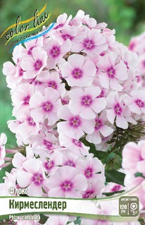 ����� ������������