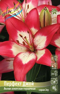 ����� ������� ����