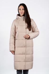 ������ ������