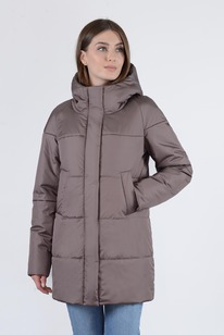 ������ ����