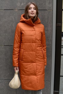 ������ ����