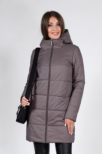 ���������� ����