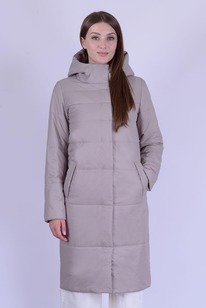 ������ ����