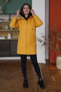 ���� ������� ����������