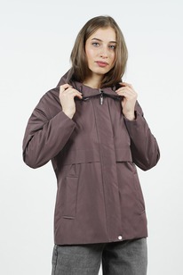 ������ ����