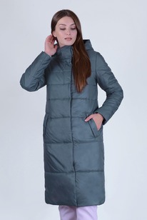 ������ ����