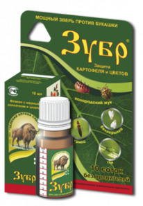 ���� 10�� � ���������