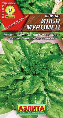 ������ ���� �������