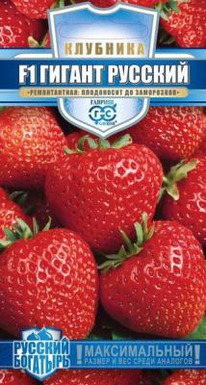 ������ ������� F1 �������� 5��