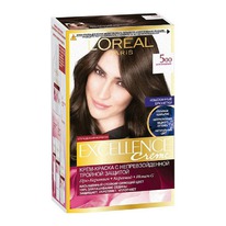 LOREAL    Excellence 500 