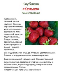 ��������� �����