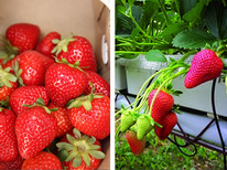 ��������� ��������