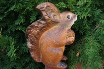 ������ ��� ���� ����� ���������� ������ 25 ��