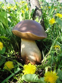 ������ ��� ���� ���� ������� ������ 21��