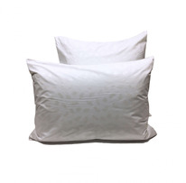 ������� ��������-��������� �� ���� �� ������ ���� - �����