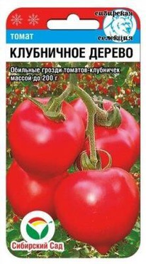 ���������� ������ �����