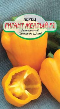 ������ ������ F1 �����