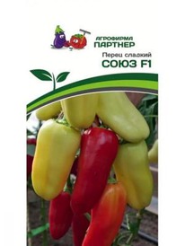 ���� ����� F1