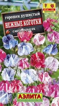 ������ ������� �������� �������